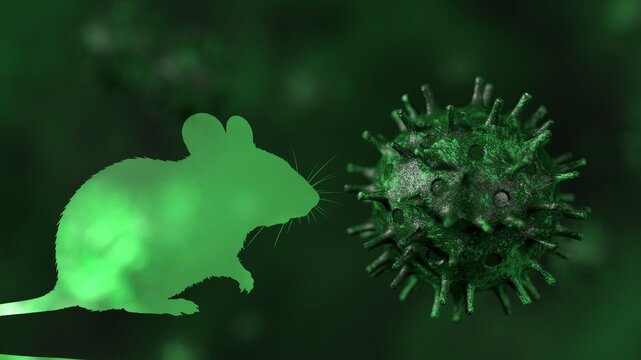 Mouse silhouette standing opposite a 3d rendering of a green virus, illustrating the concept of zoonotic transmission, animal diseases, and potential global pandemic threats in a scientific context