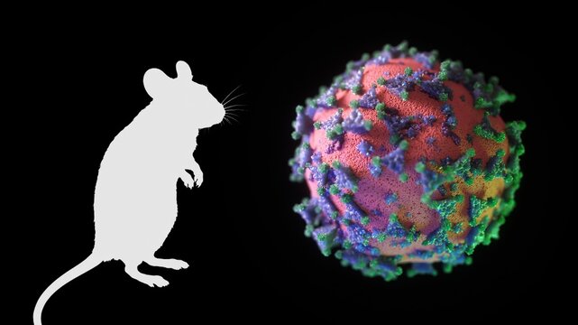 Laboratory mouse silhouette standing next to a novel coronavirus particle, representing scientific research, vaccine development, and animal testing in infectious disease studies