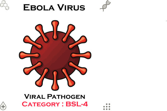 Ebola Virus Illustration &ndash; Viral Pathogen BSL‑4 Biohazard Concept
