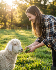 Naklejka premium Smiling female agricultural worker feeding curly sheep with fresh green grass on eco farm at sunset for sustainable agriculture lifestyle concept