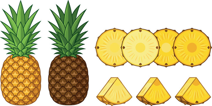 Tropical Pineapple Fruit Vector Set Featuring Whole Ripe Yellow and Brown Pineapples with Round Slices and Chunks for Fresh Food Product Packaging