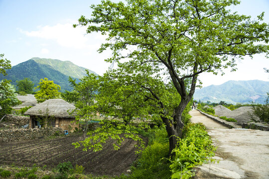낙안읍성,사적302호,순천시,전남
