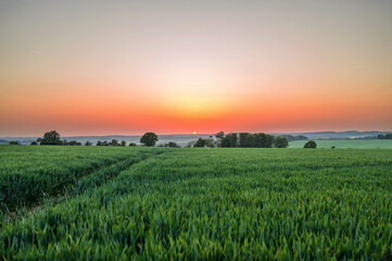 Fototapeta premium Sunrise over agricultural field in rural England