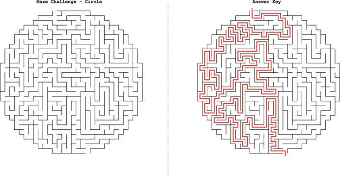 Circle Maze Vector Illustration Find the Way