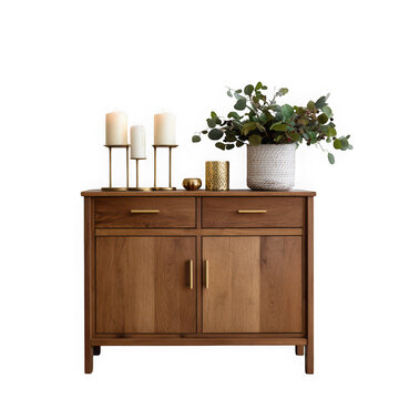 Minimalist wooden sideboard with potted plant
