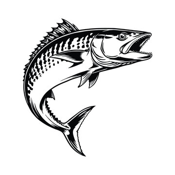 Walleye Fish Jumping Fishing Vector Illustration