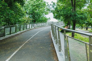 Fototapeta premium Curved pathway with trees on both sides and a clear sky in a park during daytime