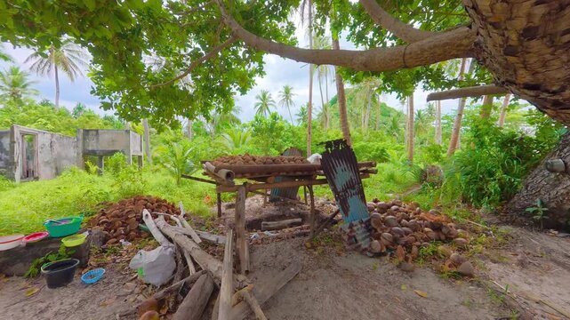 Traditional Agriculture Method of Drying Coconuts on a Wooden Rack on the Remote Tropical Island of Masare in Indonesia 4K Footage