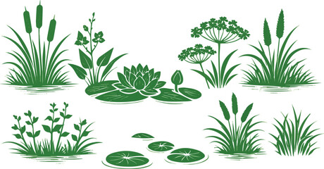 Isolated on Elegant green silhouette marsh vegetation set vector art on white background © MdMasud