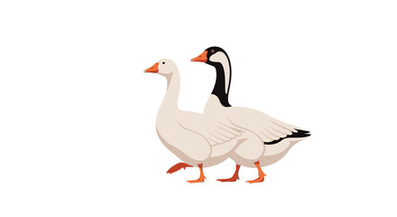 Obraz premium Two geese walking side by side on a clean white background vector style