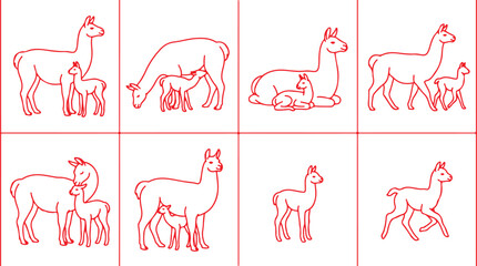Alpaca llama family groups standing resting nursing mother and baby animals icons on transparent background. © Sadhin