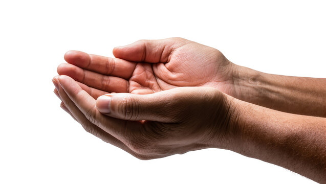 Cupped hands holding nothing palms up, showing skin texture