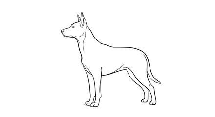 Fototapeta premium Line Drawing of a Standing Doberman Dog.