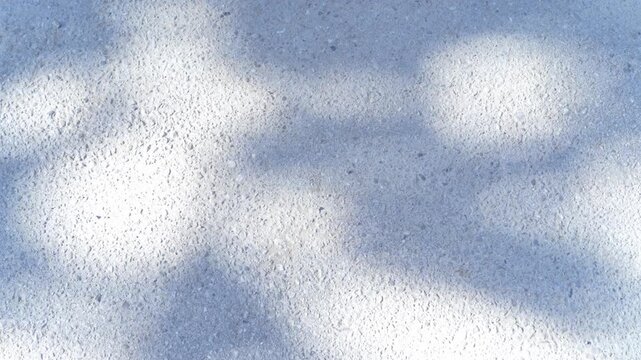 Blue surface with a leaf and foliage shadows moving in the wind on a sunny day