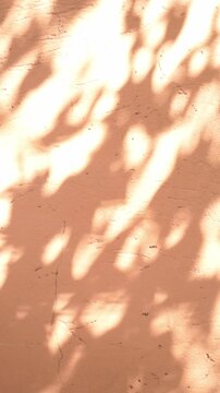 Orange wall background with moving shadows of leaves and foliage gently moving in the wind