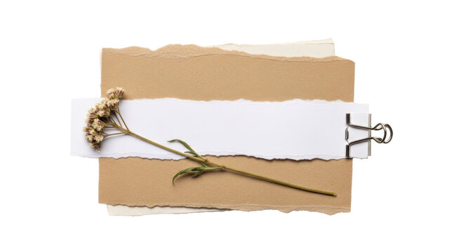Torn kraft and white paper stack with dried flower and binder clip on transparent background. Concept of romantic vintage scrapbooking