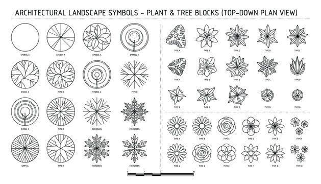 Architectural landscape symbols top-down plan view plant and tree blocks, Deciduous, Coniferous, Shrubs, Groundcovers, Ferns, Grasses, Succulents.