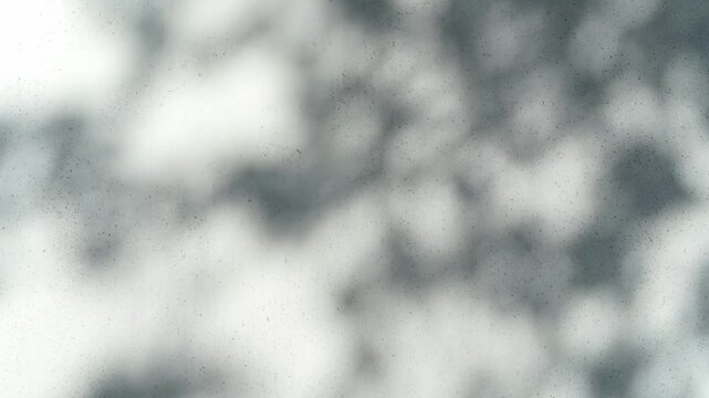 Gray-blue wall background with a shadow of foliage and leaves moving in the wind