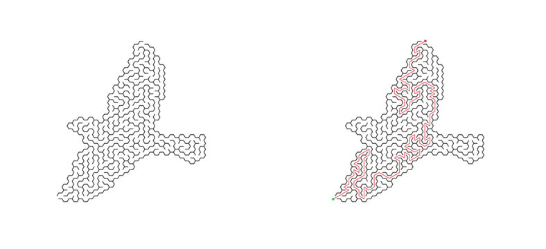 Bird hexagonal maze with solution. Flying bird silhouette hex labyrinth, black and white flat vector puzzle game