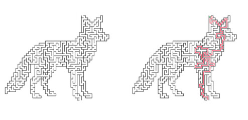 Fototapeta premium Sly fox silhouette labyrinth with answer. Wild animal shaped maze, black and white flat vector puzzle illustration