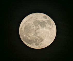 Naklejka premium Blue Moon