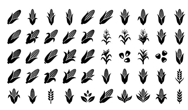 Agricultural corn and maize silhouette vector set with flat crop icons isolated on white background