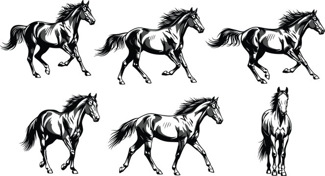 Running Horse Illustration Collection with Dynamic Equine Poses Black and White Vector Animal Artwork Set