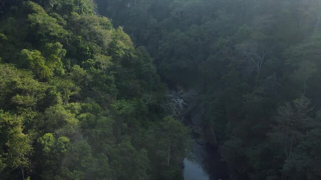 A 4K aerial view from a drone showing a rocky river flowing through a deep forested canyon valley in East Java.