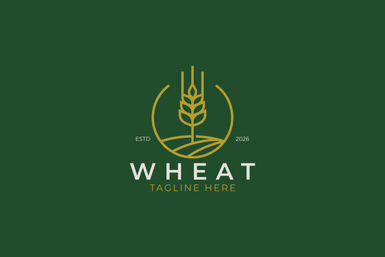 modern wheat logo design template with minimalist lineart farm field grain and circle for organic agriculture business