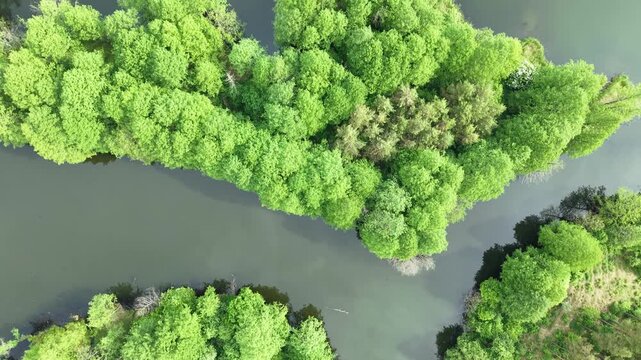 Flooded Quarry Basin &ndash; Top Down Forward Wide Flight Over Peninsula Formation