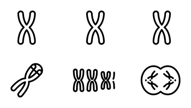 Chromosome Icons Set, Genetics Biology Science Vector Graphics, DNA Helix Medical Research