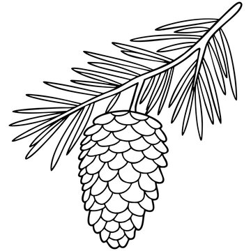 Minimal Pine Cone Line Drawing With Detailed Scales and Pine Needle Branch Illustration Isolated on a Transparent or White Background