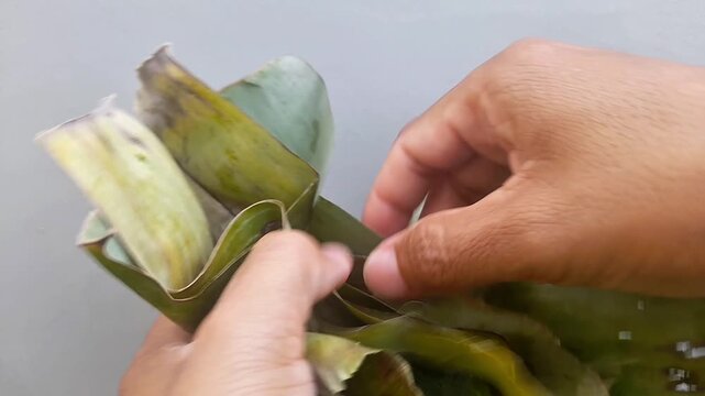 Traditional green sticky rice tape food, wrapped in banana leaves. It is a traditional Javanese Indonesian food with glutinous rice as the main ingredient or Oryza sativa. Glutinosa that is fermented.