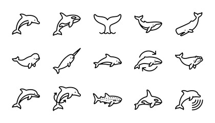 Marine Mammal Icons Set, Whale and Dolphin Vector Graphics, Ocean Wildlife Symbols Collection © Parvez