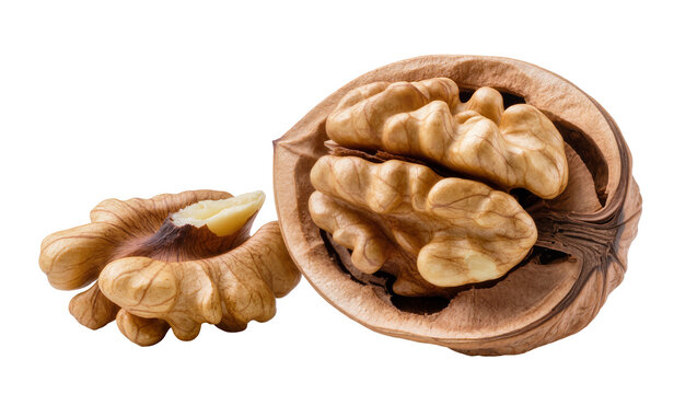 Whole walnut half with kernel and loose kernel pieces