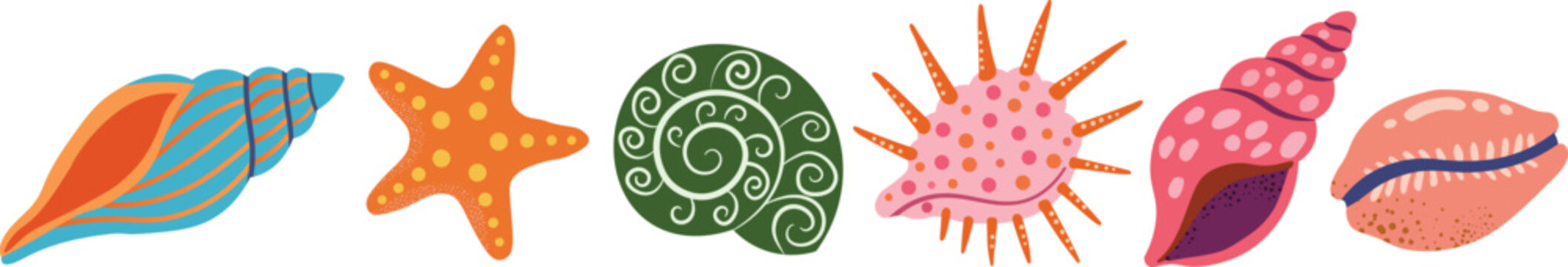 Colorful Seashell and Starfish Icon Collection for Tropical Summer