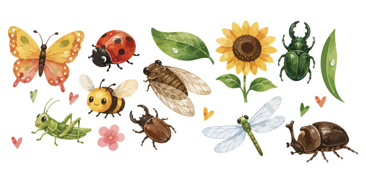 Watercolor cute insects bugs and garden botanical elements 