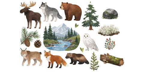 Naklejka na ściany i meble Watercolor forest wildlife animals and nature elements