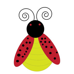 ladybug on white background