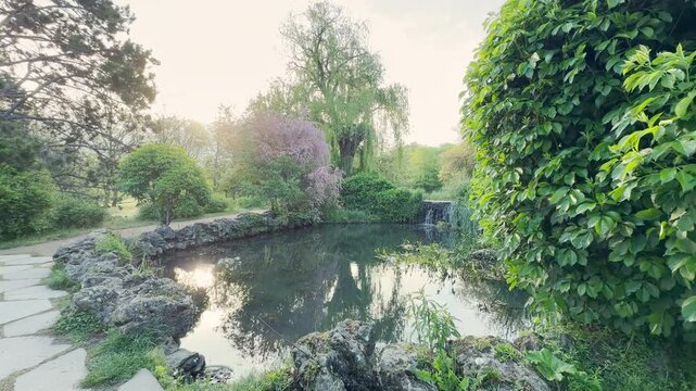 Warm morning sunlight reflects beautifully on the surface of a tranquil garden pond surrounded by lush trees. This idyllic scene inspires a comforting feeling of deep peace and quiet wonder.
