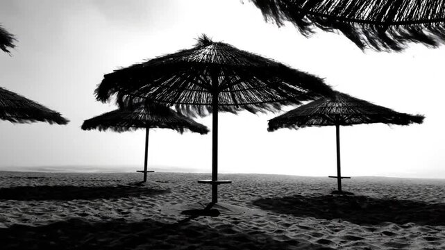 Black and White Silhouettes of Beach Umbrellas on a Sandy Beach with Cloudy Sky at Sunrise