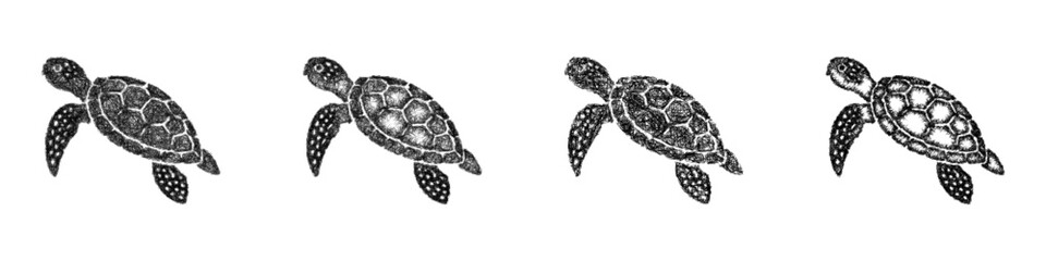 Fototapeta premium Sketch monochrome green sea turtle icon design set