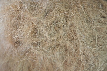 Obraz premium A close up of a dog's fur with a lot of tangles. The fur is brown and looks like it has been neglected
