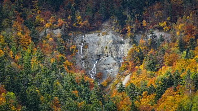 Aerial view of Route du Creux du Cerf featuring a rocky cliff face with a small waterfall surrounded by vibrant autumn forest foliage in Gex, Auvergne-Rhone-Alpes, France.