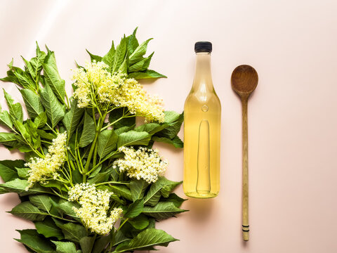 Eine Glas Flasche selbstgemachten Hollunderbl&uuml;tensirup, Hollunderbl&uuml;tenpflanzen und ein Kochl&ouml;ffel auf einem rosa Hintergrund. Draufsicht.