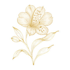 Obraz premium PNG Elegant golden floral illustration