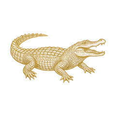 Fototapeta premium PNG Detailed vintage crocodile illustration.