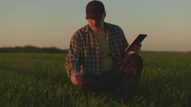 Farmer sitting in green field and touching plants at sunset light