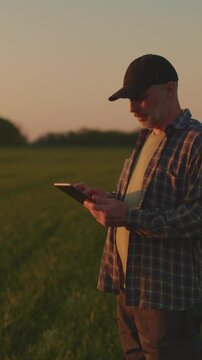 Vertical video of farmer using tablet in green field at sunset, 9x16