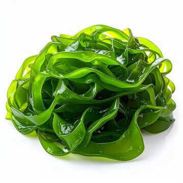 Aonori (Enteromorpha) &bull; Edible
